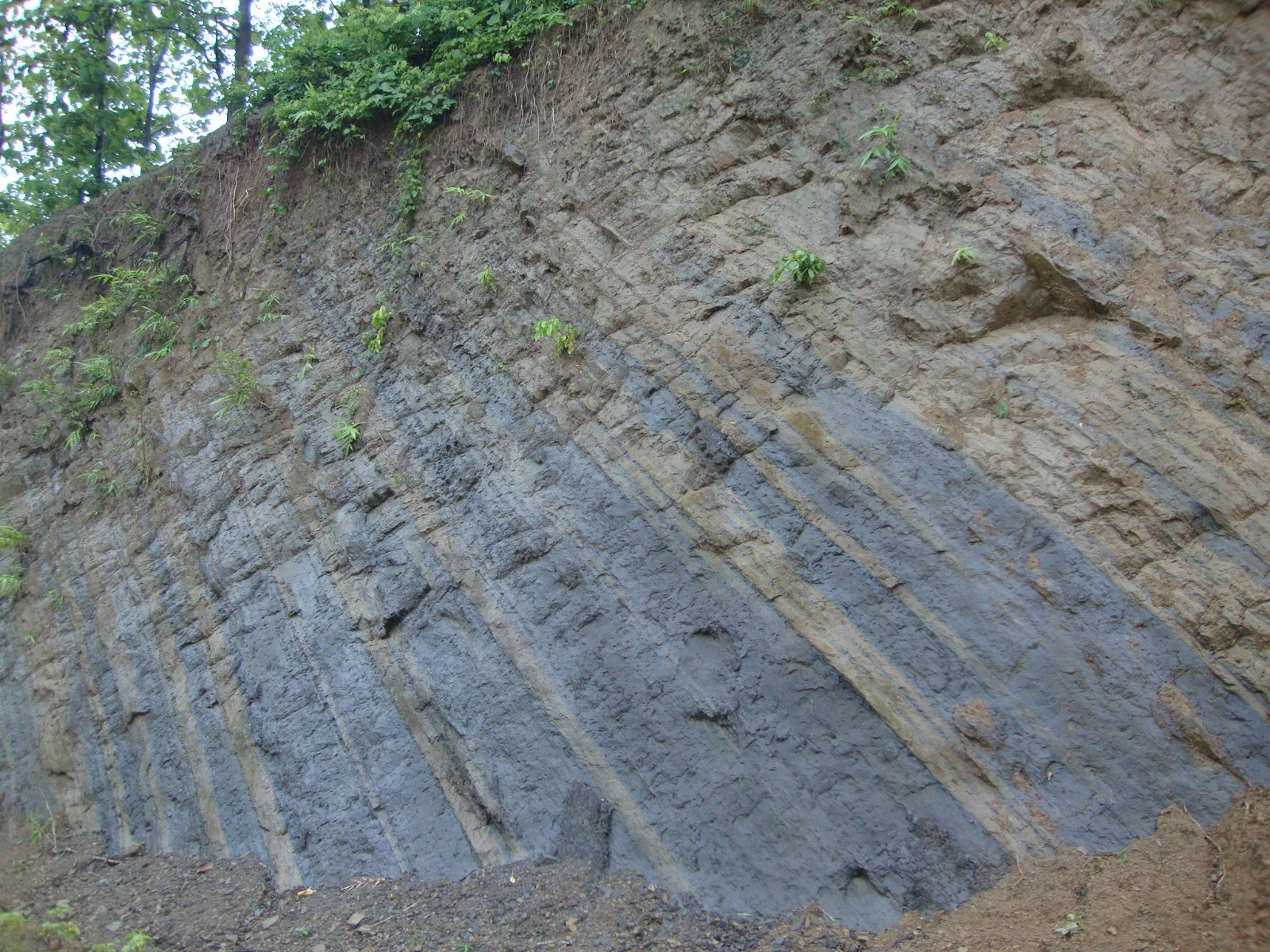 A PART OF SOIL STRATA OF ATHARAMURA HILL