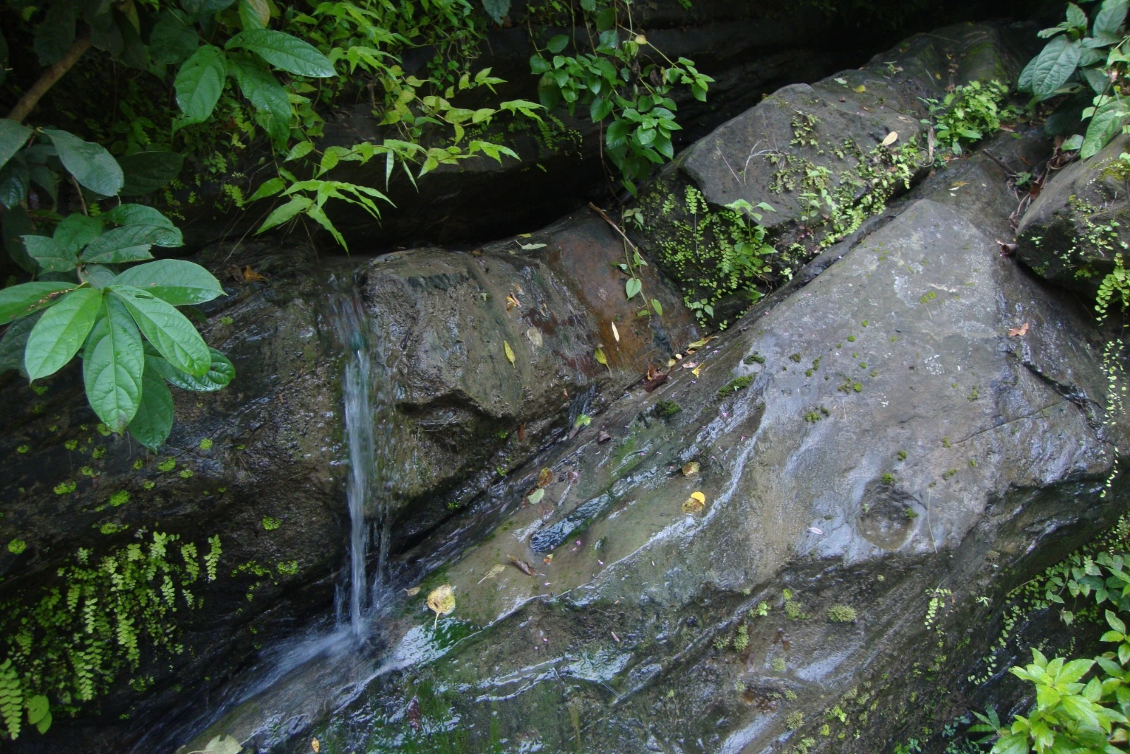 SPRING AT ATHARAMURA HILL