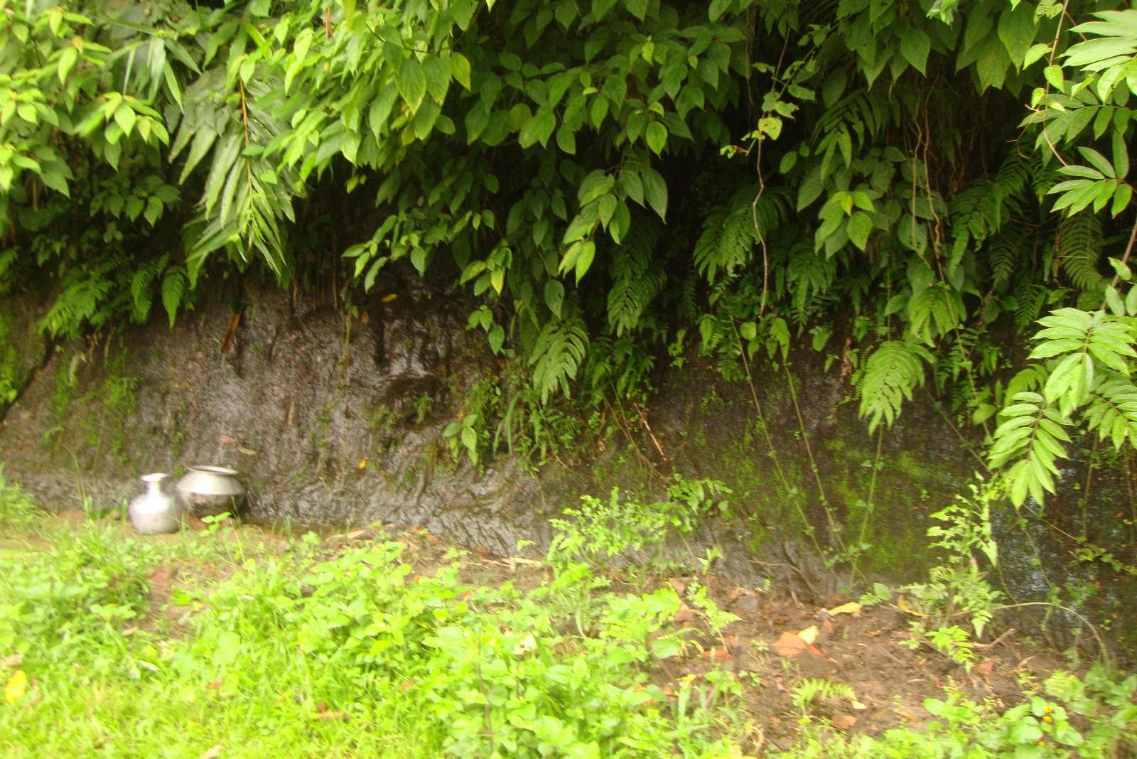 SPRING AT SAIKABARI NORTH LONGTARAI HILL